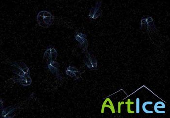 Jellyfish Sim Screensaver v1.2