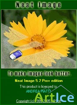 Neat Image Pro Plus v5.2