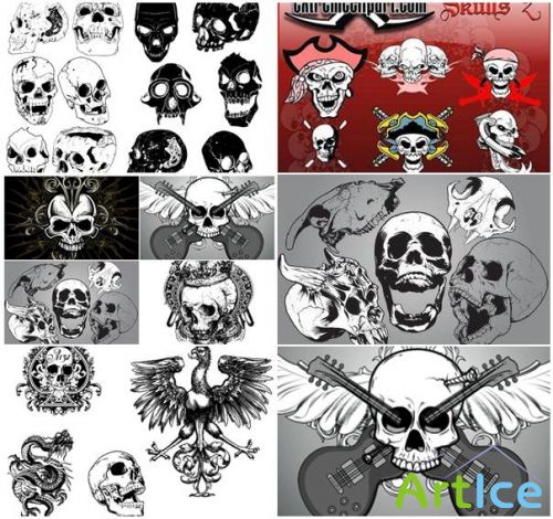 Big Skull Vectors Packages