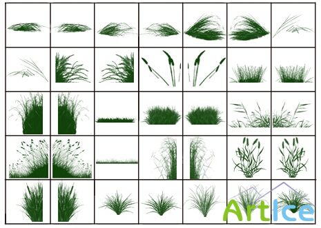 Grasslands Brushes - Photoshop