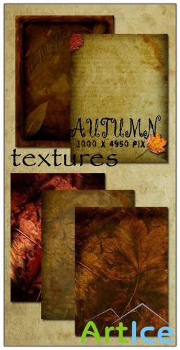 Autumn Textures