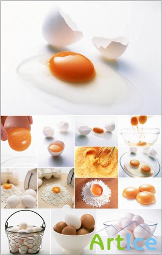 HQ Photos Egg