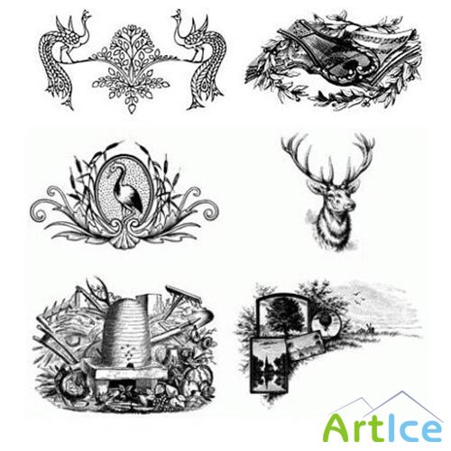 Graphics Ornaments