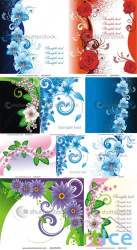 Flower vector collection