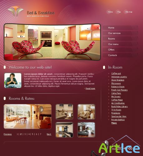 DesignLoad flash website template 4947