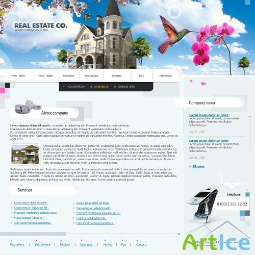 DesignLoad flash website template 5498