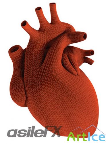 AsileFX Medical Modeling - The Human Heart