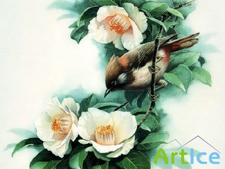 Chinese Painting Art -   