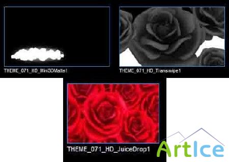 Digital Juice - Editor's Toolbox I Set 071 Red Roses