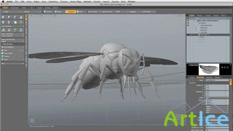 Modo 401 Spotlight Video (2009)