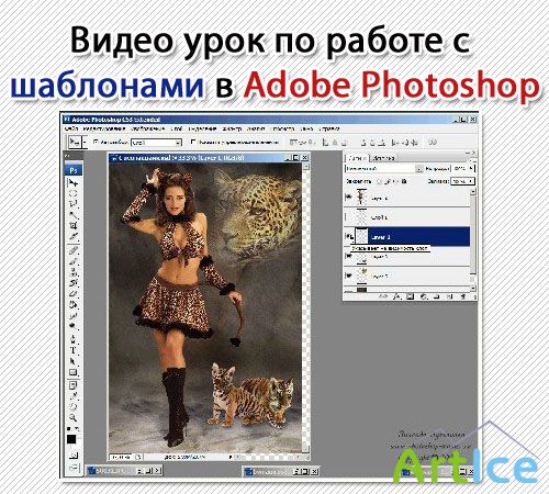        Photoshop