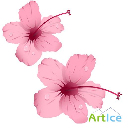 Flower Vector Pack (  75.)