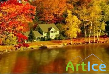 3D Gorgeous Fall Foliage