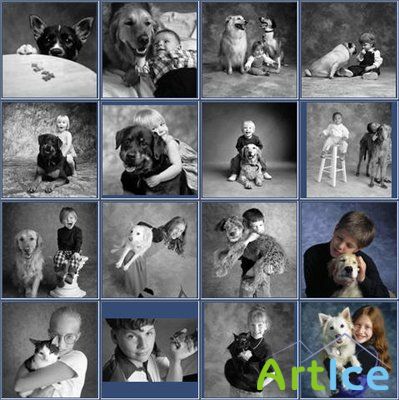 Brand X Pictures X055 - Pet Pals