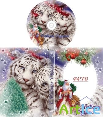  DVD-    