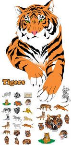 Tigers Vector 2