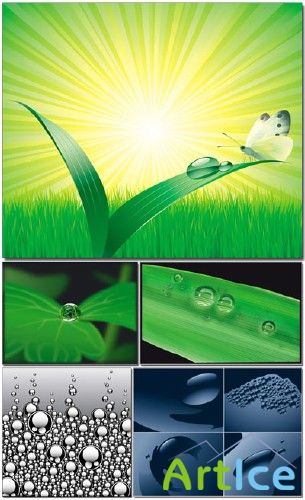 Vector Water Drops 2