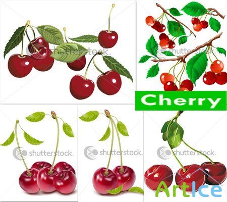 Cherry