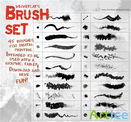 Velvetcat Brush Set