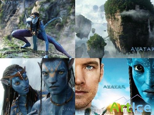  Avatar ( )