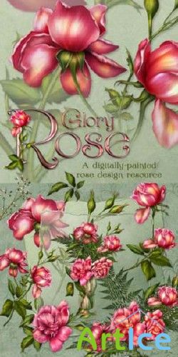  - Glory rose