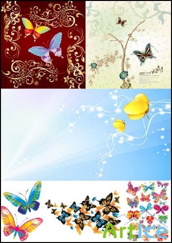 Butterfly Vector