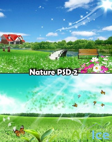 Nature PSD 2