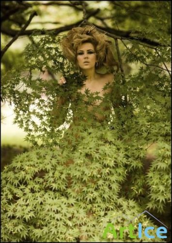 Ladies in Green