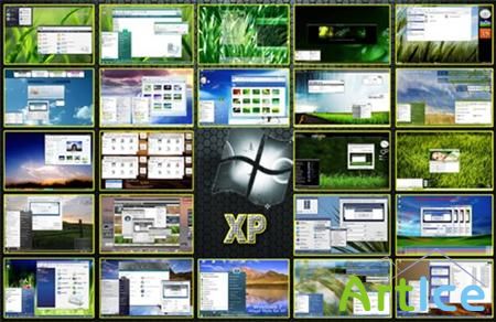   Windows XP   