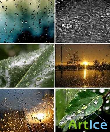 Beautiful Rainy Nature Wallpapers Set-1