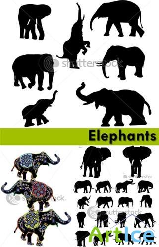 Elephants