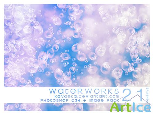 Waterworks Brushes