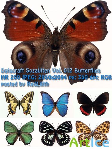  Datacraft Sozaijiten Vol. 012 Butterflies - 