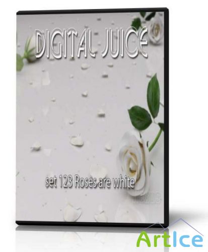 Digital juice - set 123 Roses are white (SD)