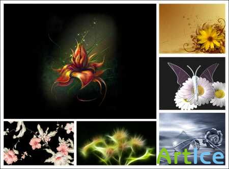 3D Flowers Wallpapers