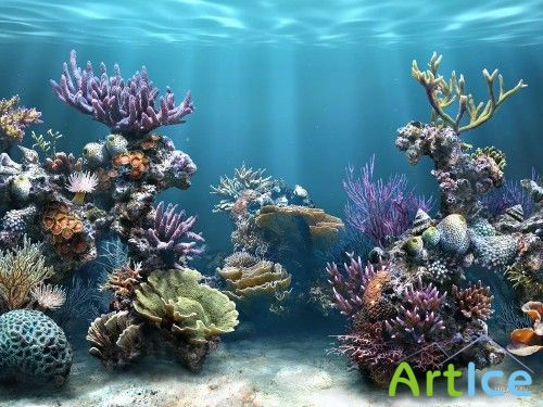 Portable SimAquarium 3D Screensaver 2.7