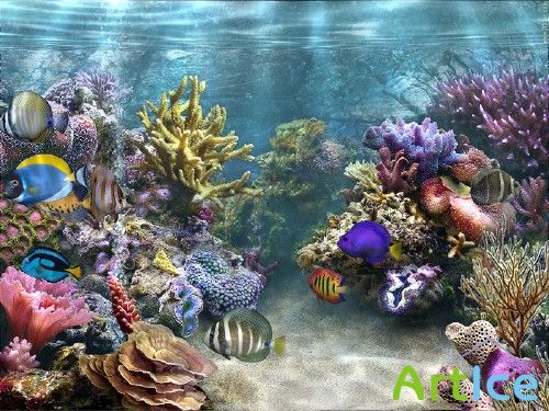 Portable SimAquarium 3D Screensaver 2.7