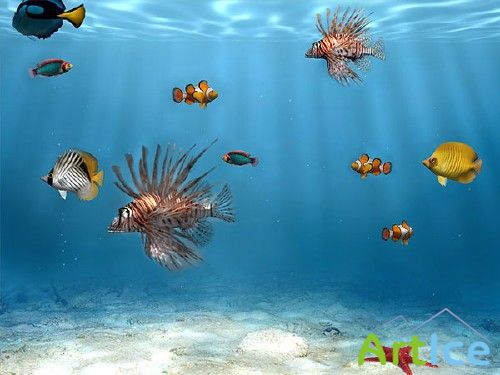 Portable SimAquarium 3D Screensaver 2.7