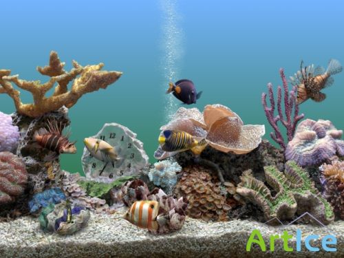 Marine Aquarium 3 3D Screensaver 3.1.5569