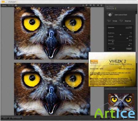 Nik Software Viveza 2.004 - 10710 (32/64 Bit)