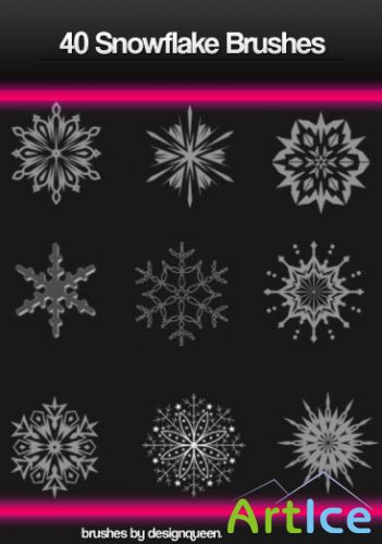 New 40 Snowflake Brushes