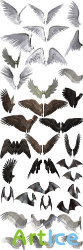 Cliparts - Big Collection Wings