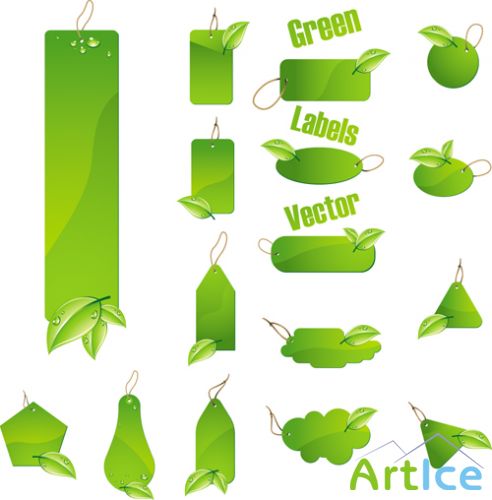 Green Labels Vector