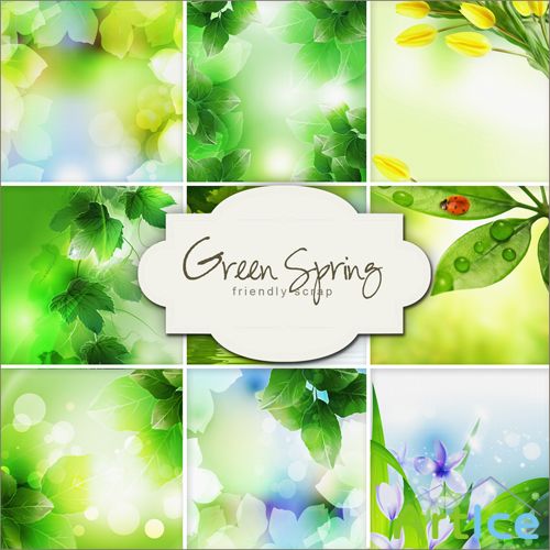 Textures - Green Spring