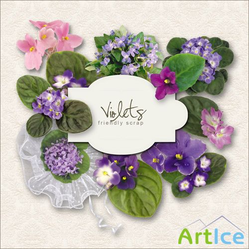 Scrap-kit - Violets