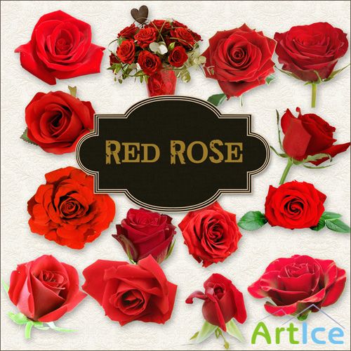 Scrap-kit - Red Roses Set