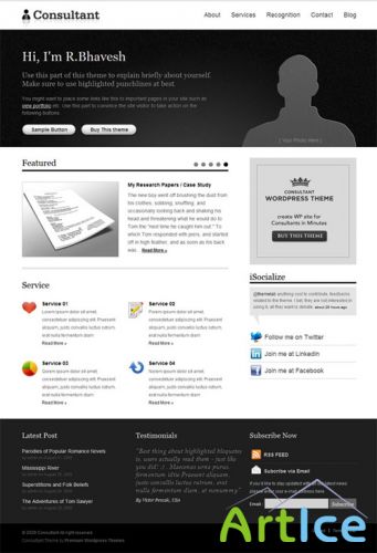 Consultant - Templatic Wordpress Theme