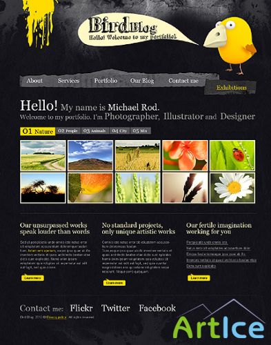 Bird Blog Website Free Template