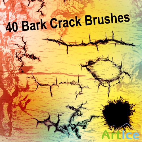 40 Bark Crack Brushes