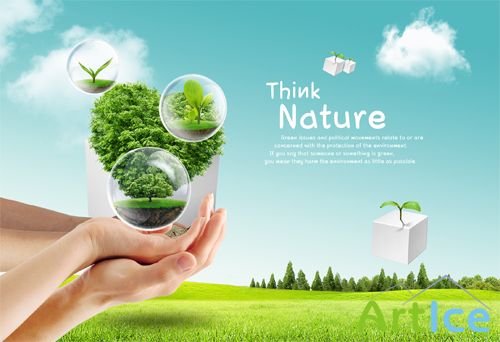 Nature PSD